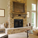 Pleasant Hearth - Alpine Glass Firescreen Black Glass Doors Pleasant Hearth