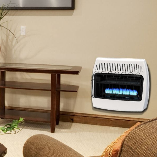 Dyna-Glo 30,000 BTU Natural Gas Blue Flame Vent Free Wall Heater